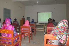 Picture-6